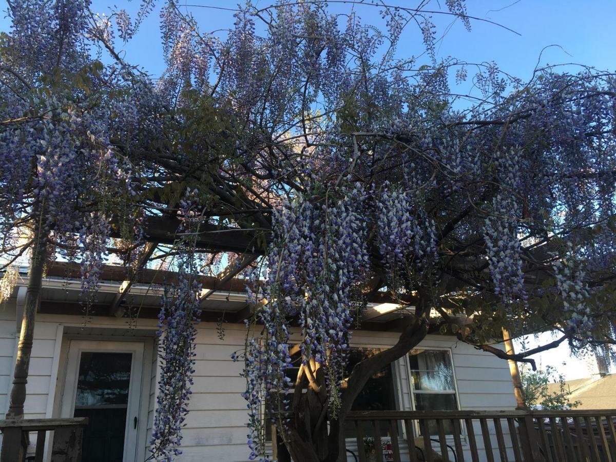 Wisteria Vine Cottage Monticello Eksteriør bilde